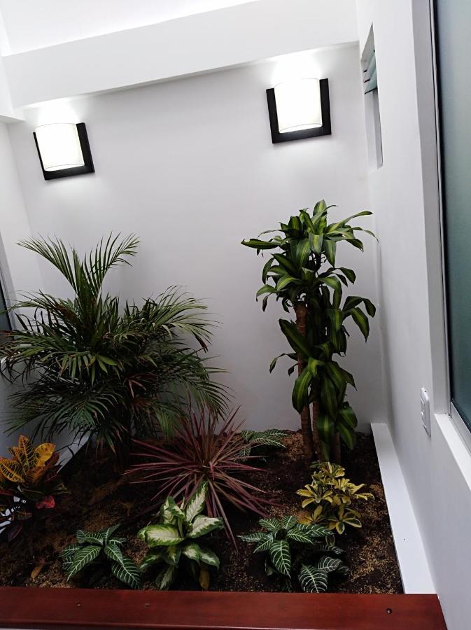 Hotel Jardin 38 パスト 部屋 写真