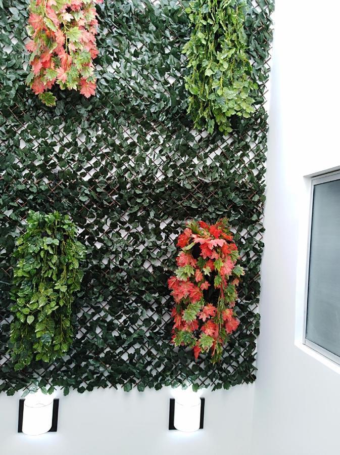 Hotel Jardin 38 パスト 部屋 写真